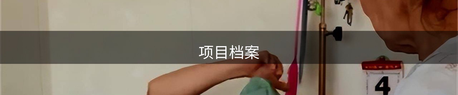 项目档案